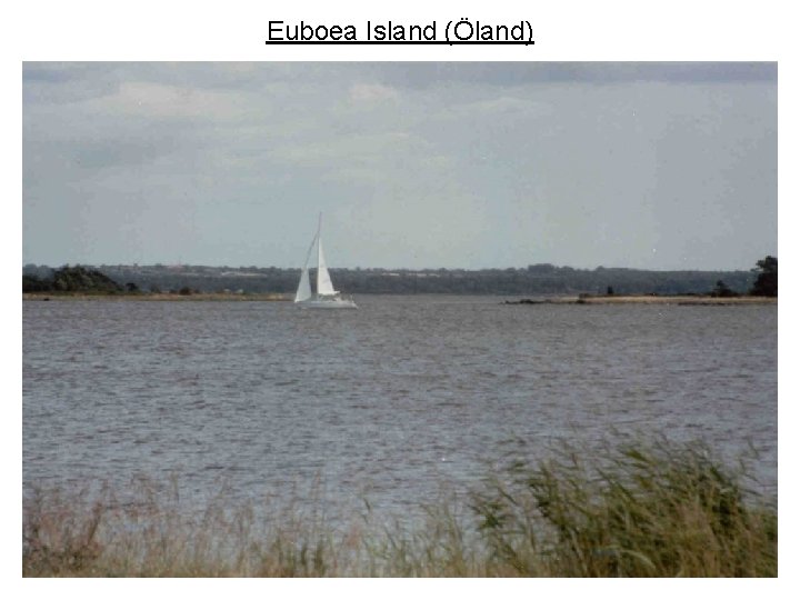 Euboea Island (Öland) 