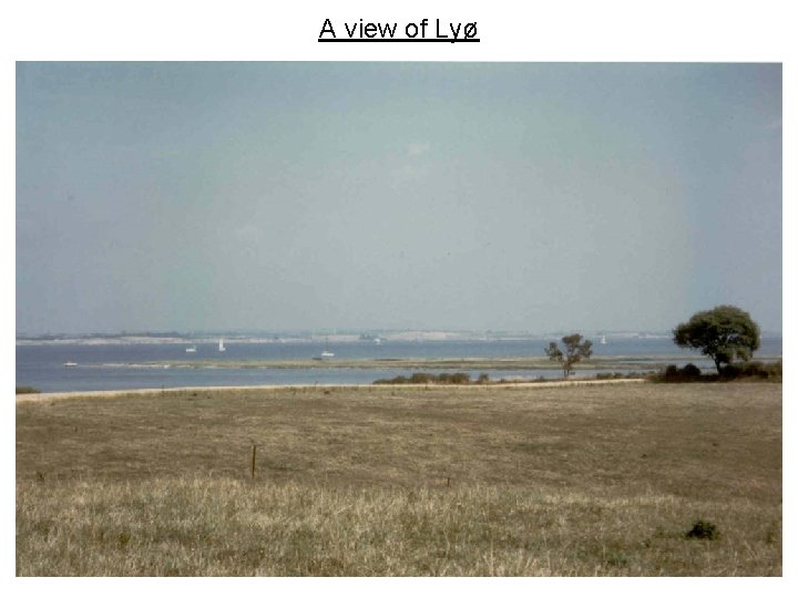 A view of Lyø 
