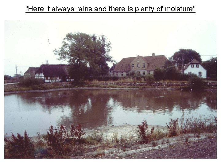 “Here it always rains and there is plenty of moisture” 