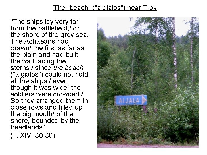 The “beach” (“aigialos”) near Troy “The ships lay very far from the battleﬁeld, /