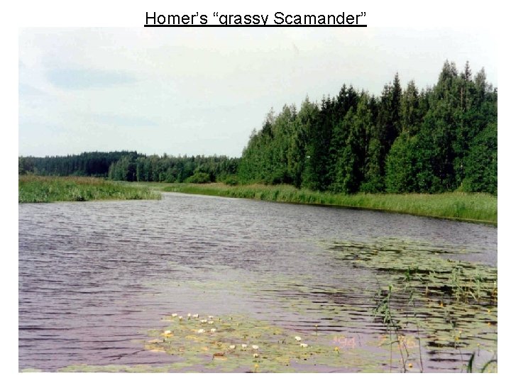 Homer’s “grassy Scamander” 