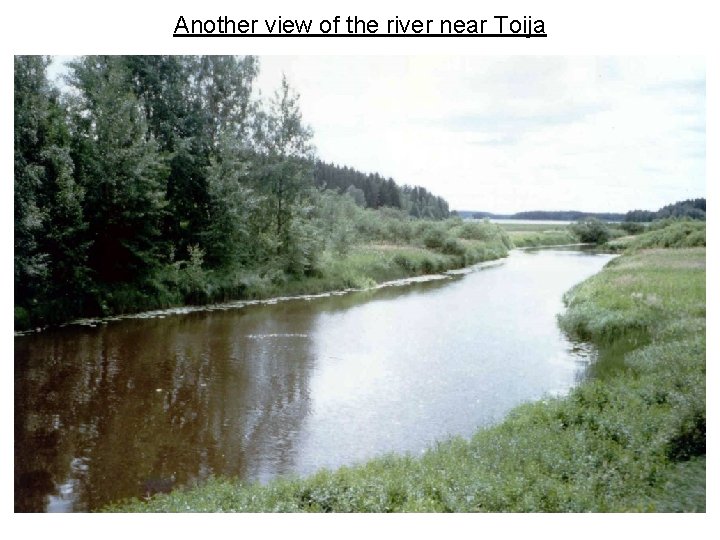 Another view of the river near Toija 