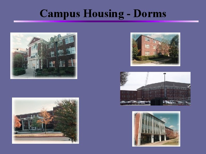 Campus Housing - Dorms 