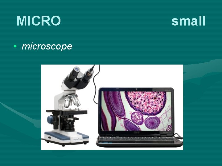 MICRO • microscope small 