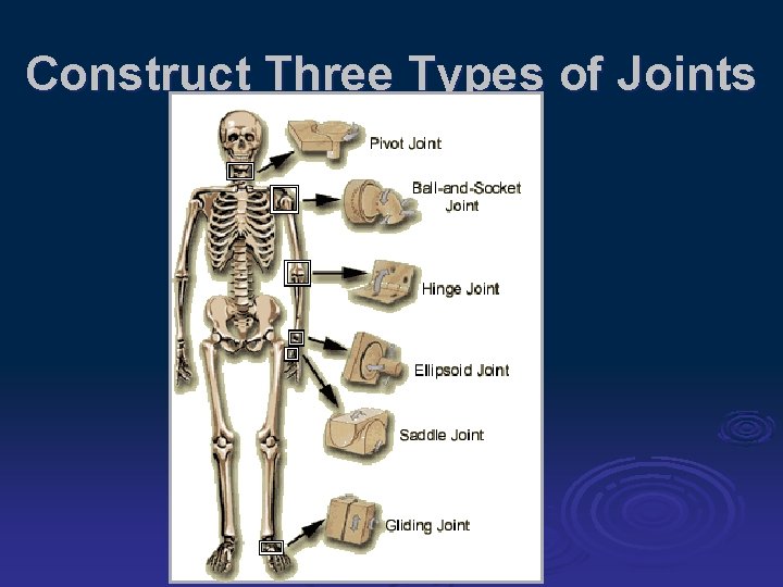 Construct Three Types of Joints 