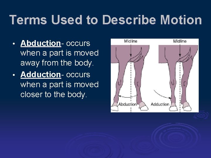 Terms Used to Describe Motion Abduction- occurs when a part is moved away from