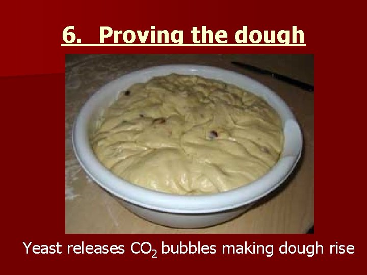 6. Proving the dough Yeast releases CO 2 bubbles making dough rise 