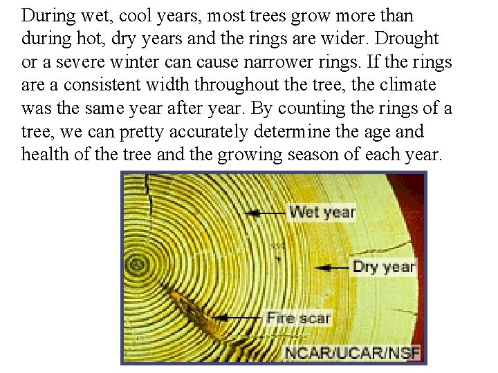 During wet, cool years, most trees grow more than during hot, dry years and