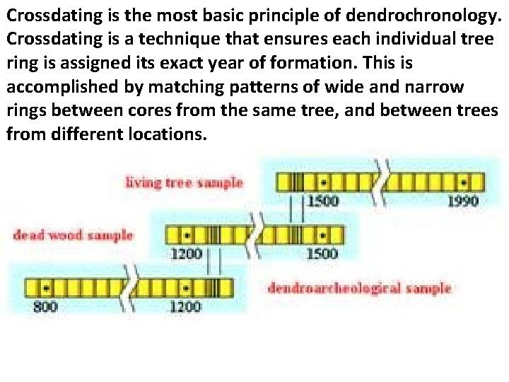 Crossdating is the most basic principle of dendrochronology. Crossdating is a technique that ensures