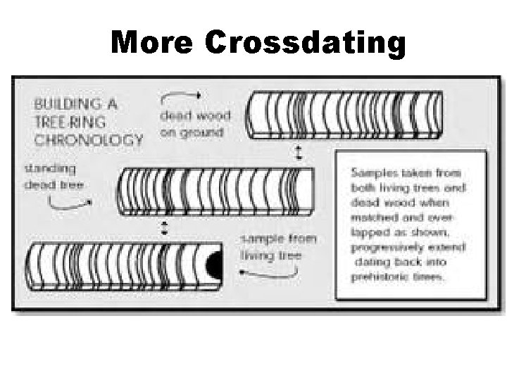 More Crossdating 