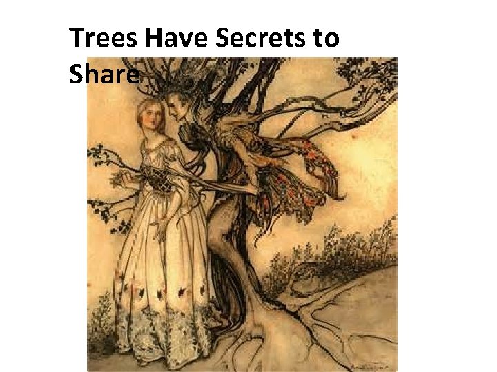 Trees Have Secrets to Share 