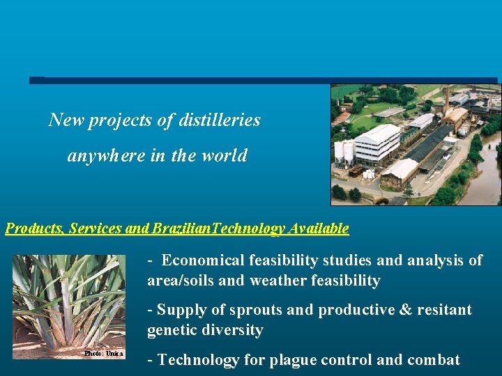 New projects of distilleries anywhere in the world Products, Services and Brazilian. Technology Available