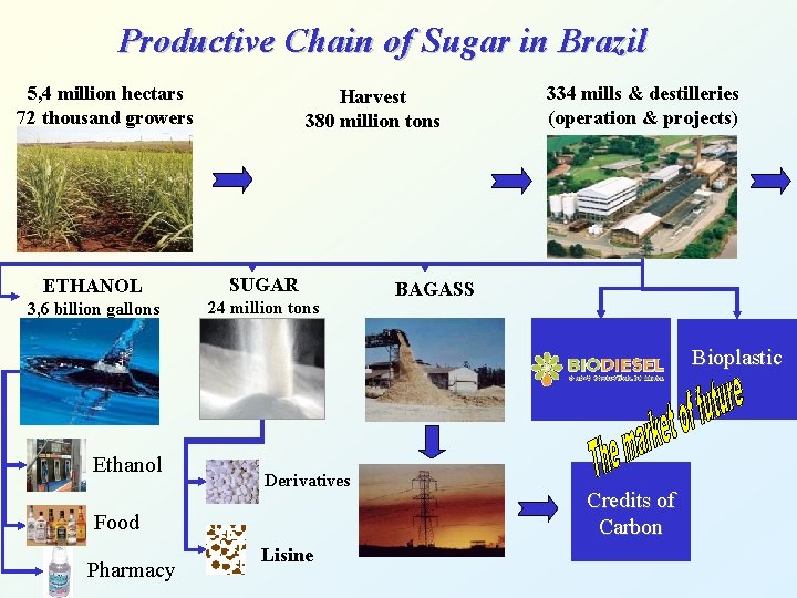 Productive Chain of Sugar in Brazil 5, 4 million hectars 72 thousand growers Harvest