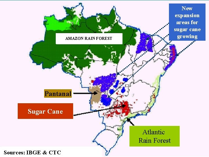 New expansion areas for sugar cane growing AMAZON RAIN FOREST Pantanal Sugar Cane Atlantic