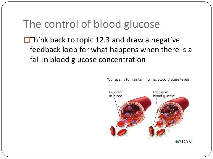 The control of blood glucose �Think back to topic 12. 3 and draw a