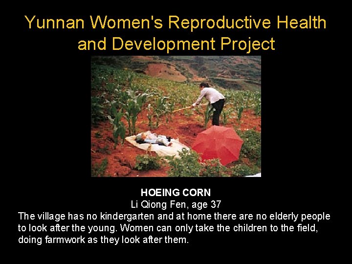 Yunnan Women's Reproductive Health and Development Project HOEING CORN Li Qiong Fen, age 37
