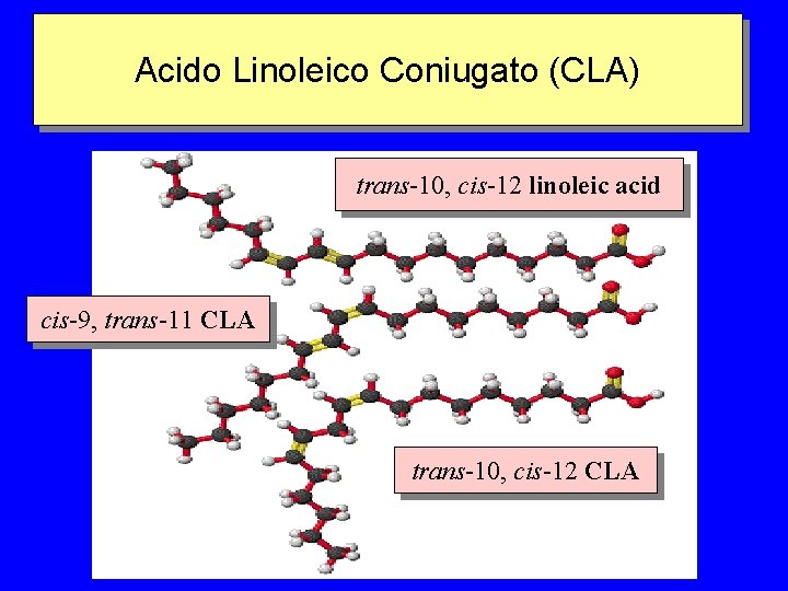 Acido Linoleico Coniugato (CLA) trans-10, cis-12 linoleic acid cis-9, trans-11 CLA trans-10, cis-12 CLA