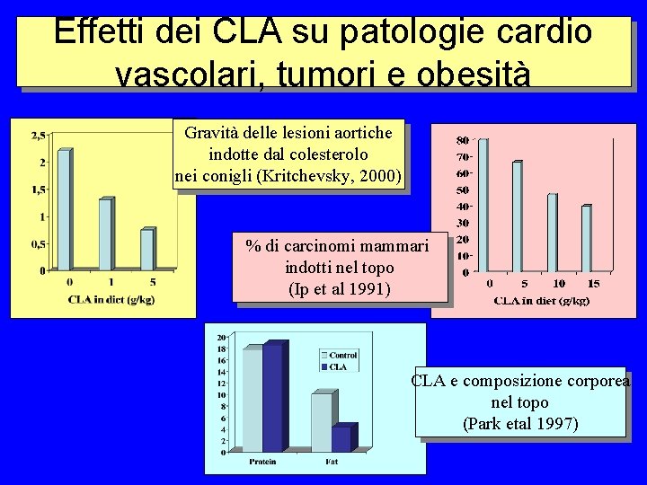 Effetti dei CLA su patologie cardio vascolari, tumori e obesità Gravità delle lesioni aortiche