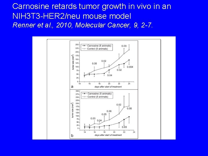 Carnosine retards tumor growth in vivo in an NIH 3 T 3 -HER 2/neu