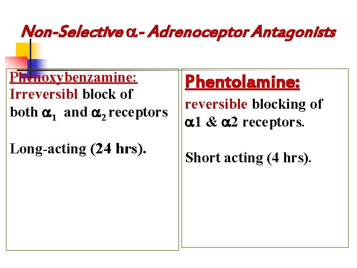 Non-Selective - Adrenoceptor Antagonists Phenoxybenzamine: Irreversibl block of both 1 and 2 receptors Long-acting