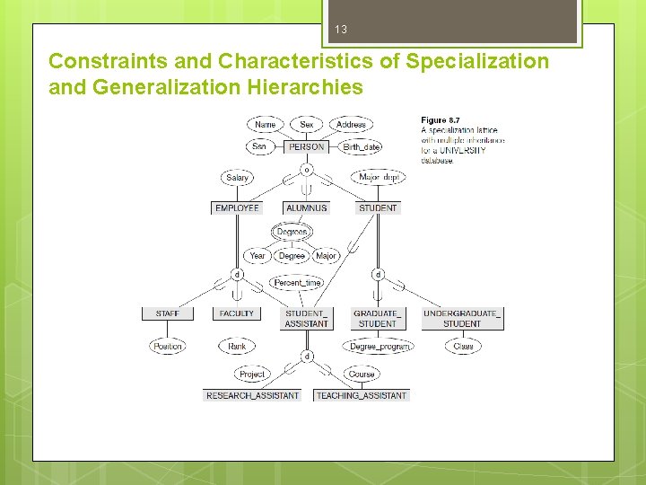 13 Constraints and Characteristics of Specialization and Generalization Hierarchies 