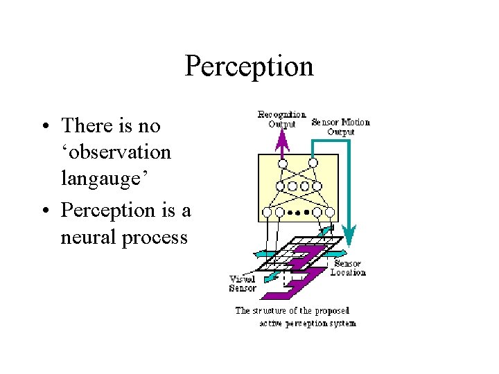 Perception • There is no ‘observation langauge’ • Perception is a neural process 