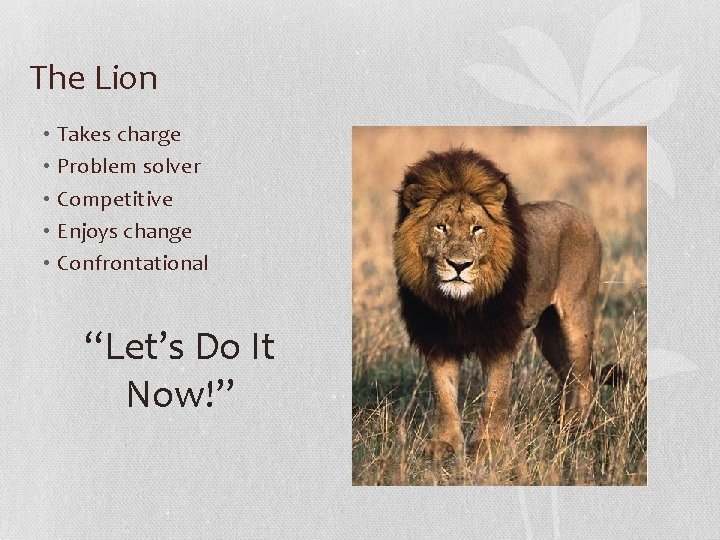 The Lion • Takes charge • Problem solver • Competitive • Enjoys change •