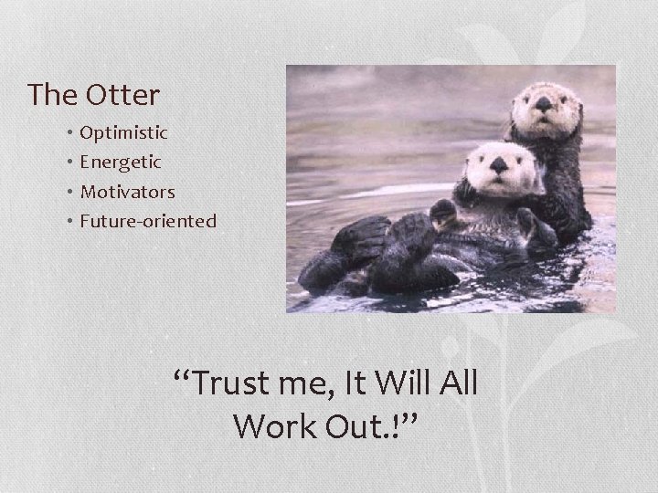 The Otter • Optimistic • Energetic • Motivators • Future-oriented “Trust me, It Will