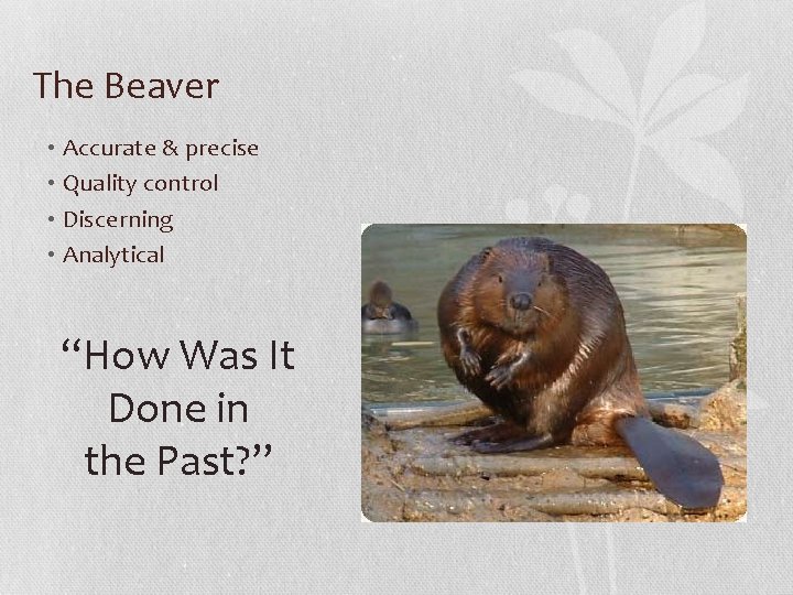 The Beaver • Accurate & precise • Quality control • Discerning • Analytical “How