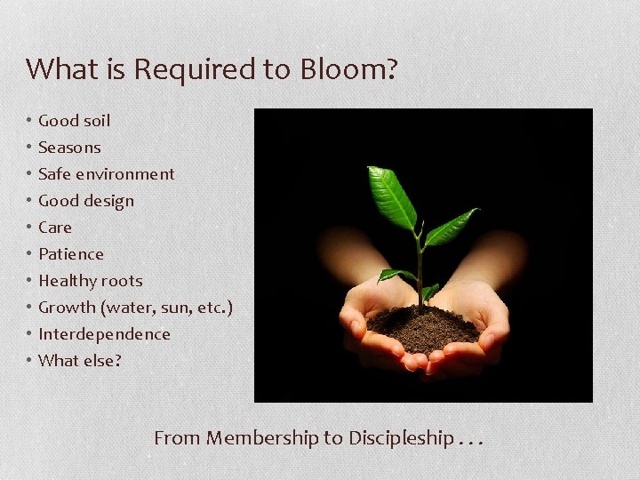 What is Required to Bloom? • • • Good soil Seasons Safe environment Good