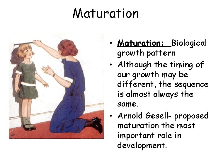 Maturation • Maturation: Biological growth pattern • Although the timing of our growth may