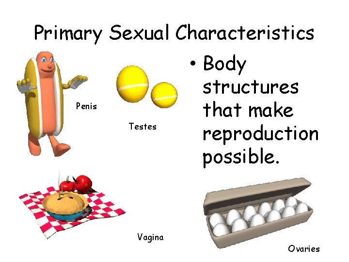 Primary Sexual Characteristics Penis Testes Vagina • Body structures that make reproduction possible. Ovaries