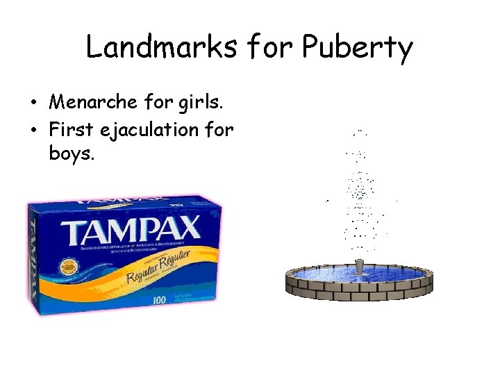 Landmarks for Puberty • Menarche for girls. • First ejaculation for boys. 