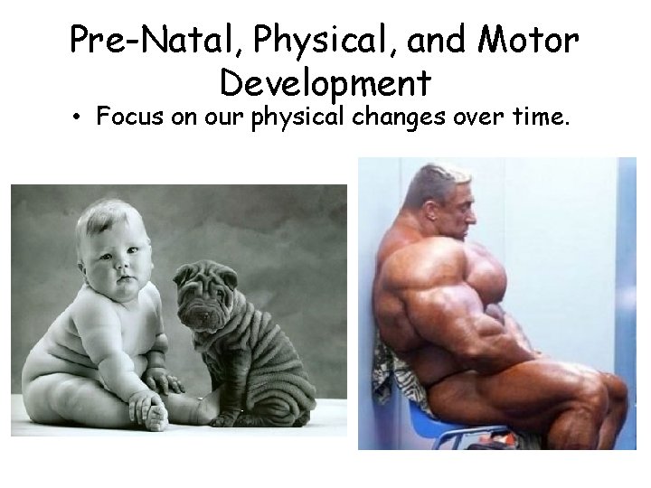 Pre-Natal, Physical, and Motor Development • Focus on our physical changes over time. 
