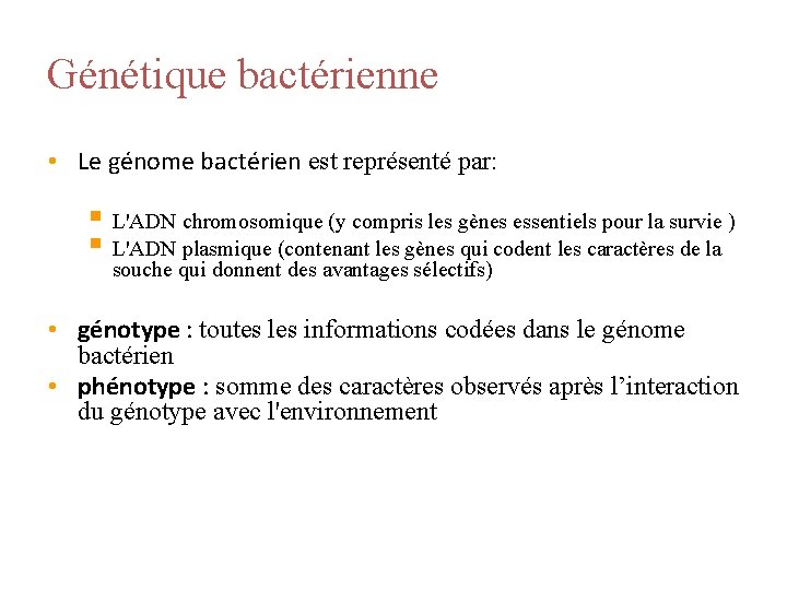 Génétique bactérienne • Le génome bactérien est représenté par: § L'ADN chromosomique (y compris