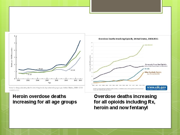 Heroin overdose deaths increasing for all age groups Overdose deaths increasing for all opioids