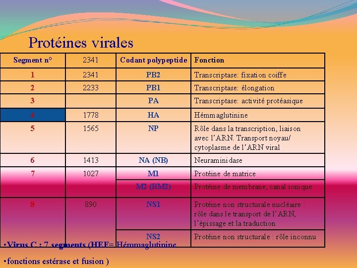 Protéines virales Segment n° 2341 1 2341 PB 2 Transcriptase: fixation coiffe 2 2233