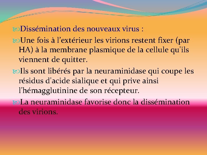  Dissémination des nouveaux virus : Une fois à l’extérieur les virions restent fixer