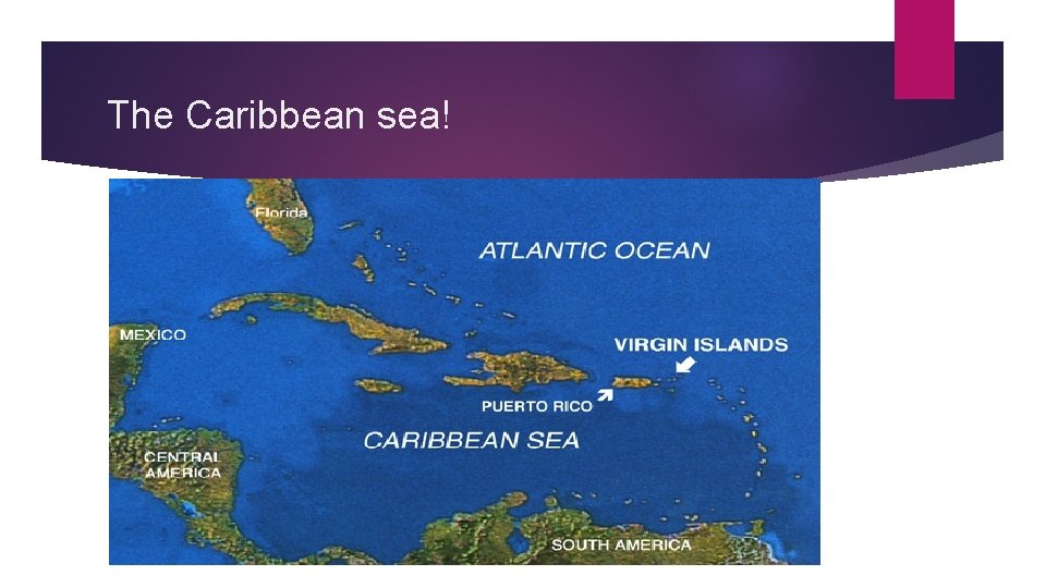 The Caribbean sea! 