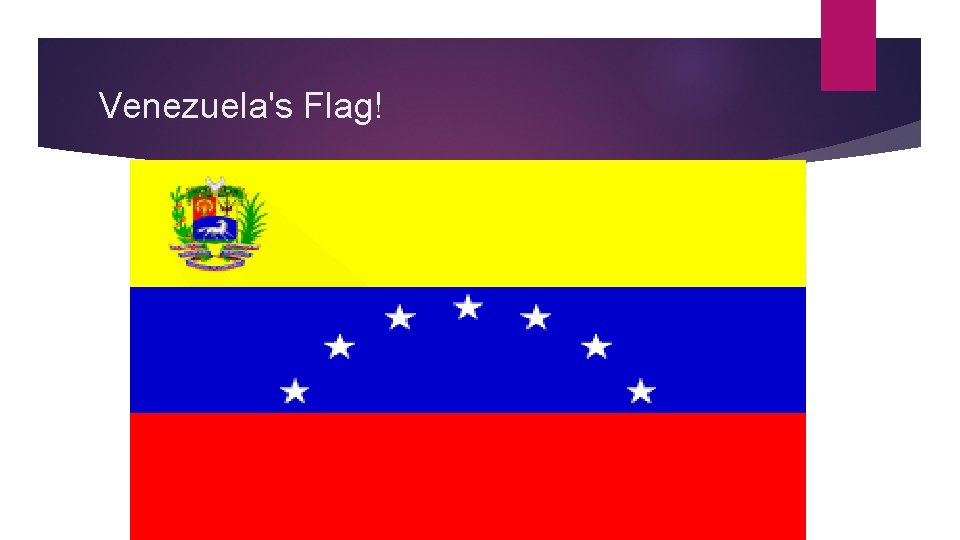 Venezuela's Flag! 