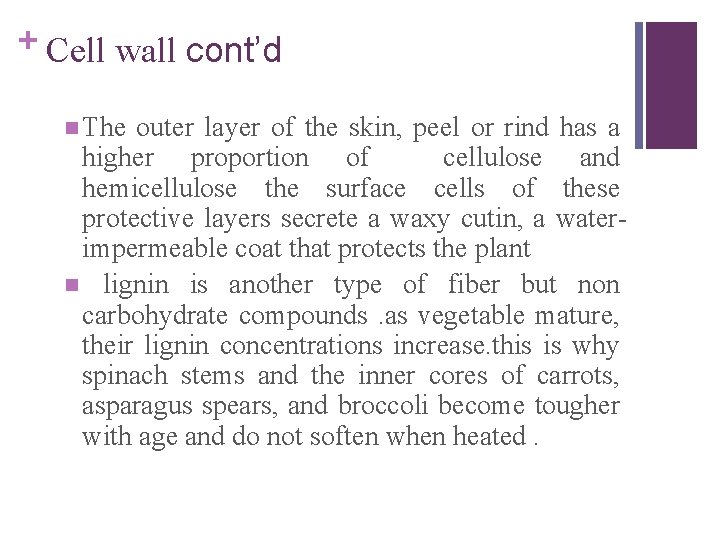+ Cell wall cont’d n The outer layer of the skin, peel or rind