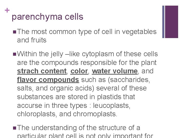 + parenchyma cells n The most common type of cell in vegetables and fruits