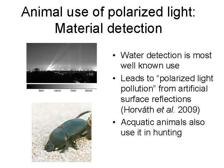 Animal use of polarized light: Material detection • Water detection is most well known