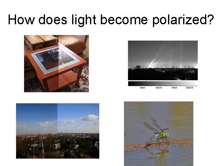 How does light become polarized? 