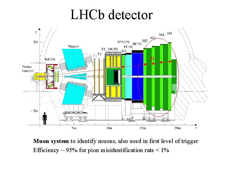 LHCb detector m Muon system to identify muons, also used in first level of