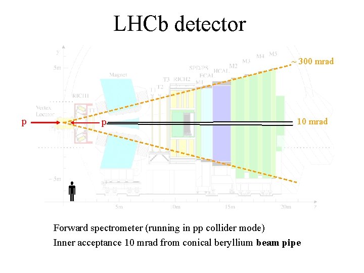 LHCb detector ~ 300 mrad p p 10 mrad Forward spectrometer (running in pp
