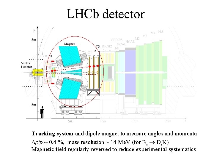 LHCb detector Tracking system and dipole magnet to measure angles and momenta Dp/p ~