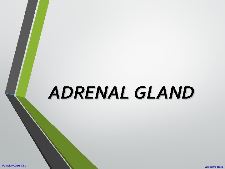 ADRENAL GLAND Pathology Dept. KSU Endocrine block ADRENAL GLAND Pathology Dept. KSU Endocrine block
