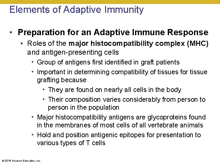Elements of Adaptive Immunity • Preparation for an Adaptive Immune Response • Roles of