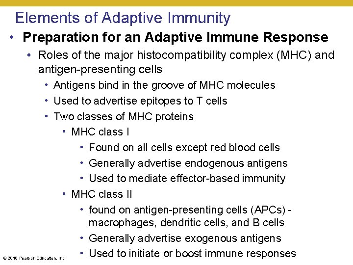 Elements of Adaptive Immunity • Preparation for an Adaptive Immune Response • Roles of